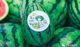 新瓜最新爆料网红是谁啊,网红界新晋风云人物是谁？